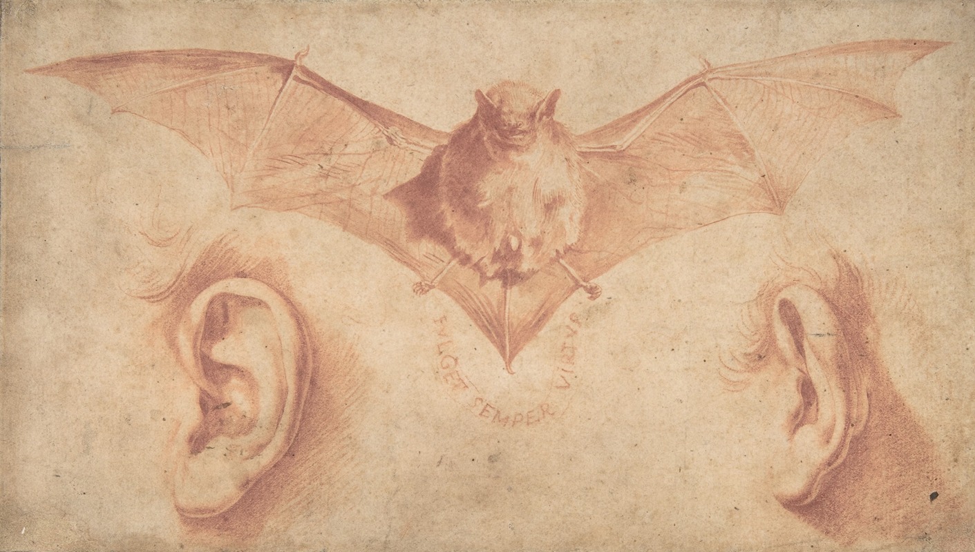 Jusepe de Ribera - Studies of Two Ears and of a Bat.