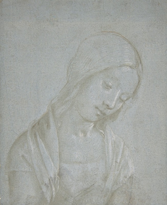 Piero di Cosimo - Bust of a Young Woman