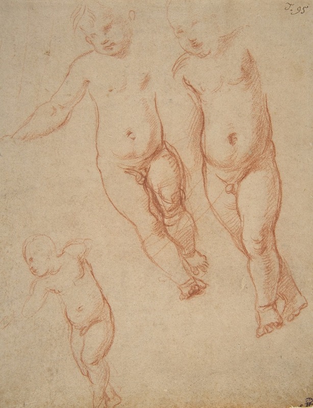 Raphael - Studies of the Christ Child