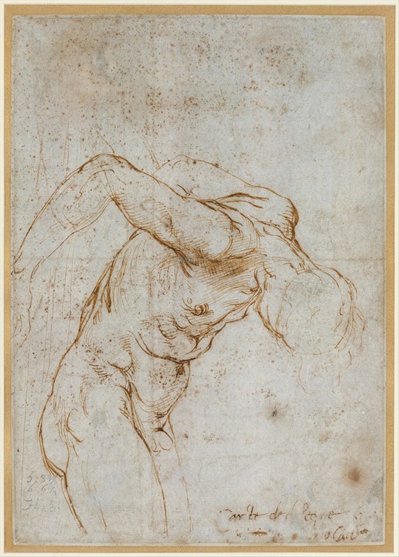 Raphael - Study of a Nude Male Figure