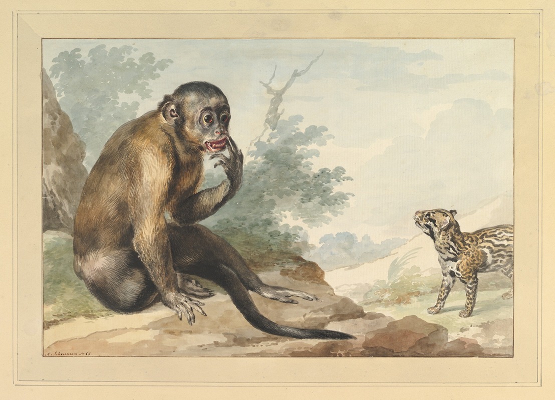 Aert Schouman - A Monkey Sitting on a Rock Looking at a Civet
