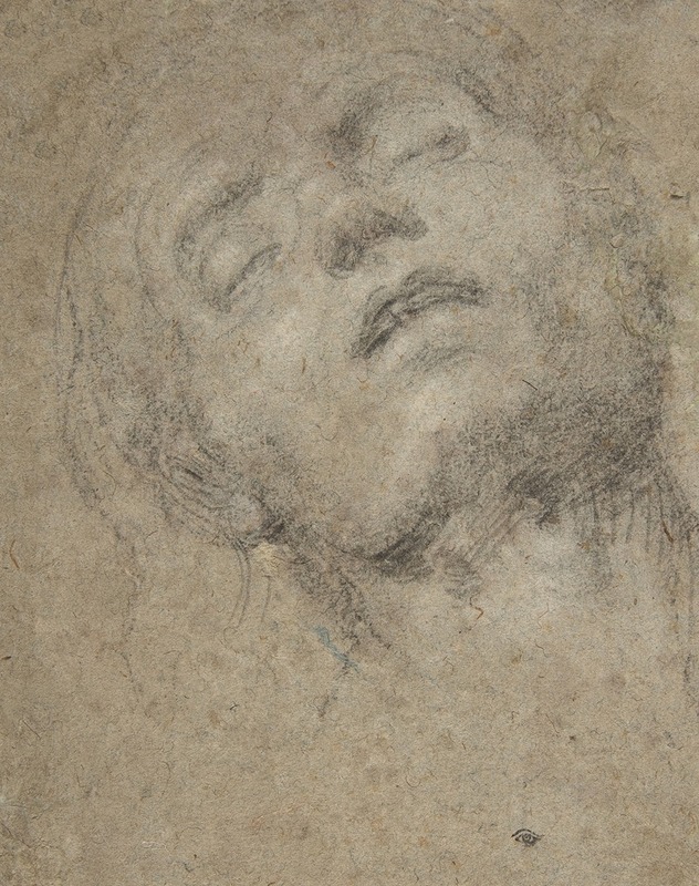 Giovanni Girolamo Savoldo - Study of a Head