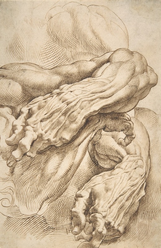 Peter Paul Rubens - Anatomical Studies; a left forearm in two positions and a right forearm