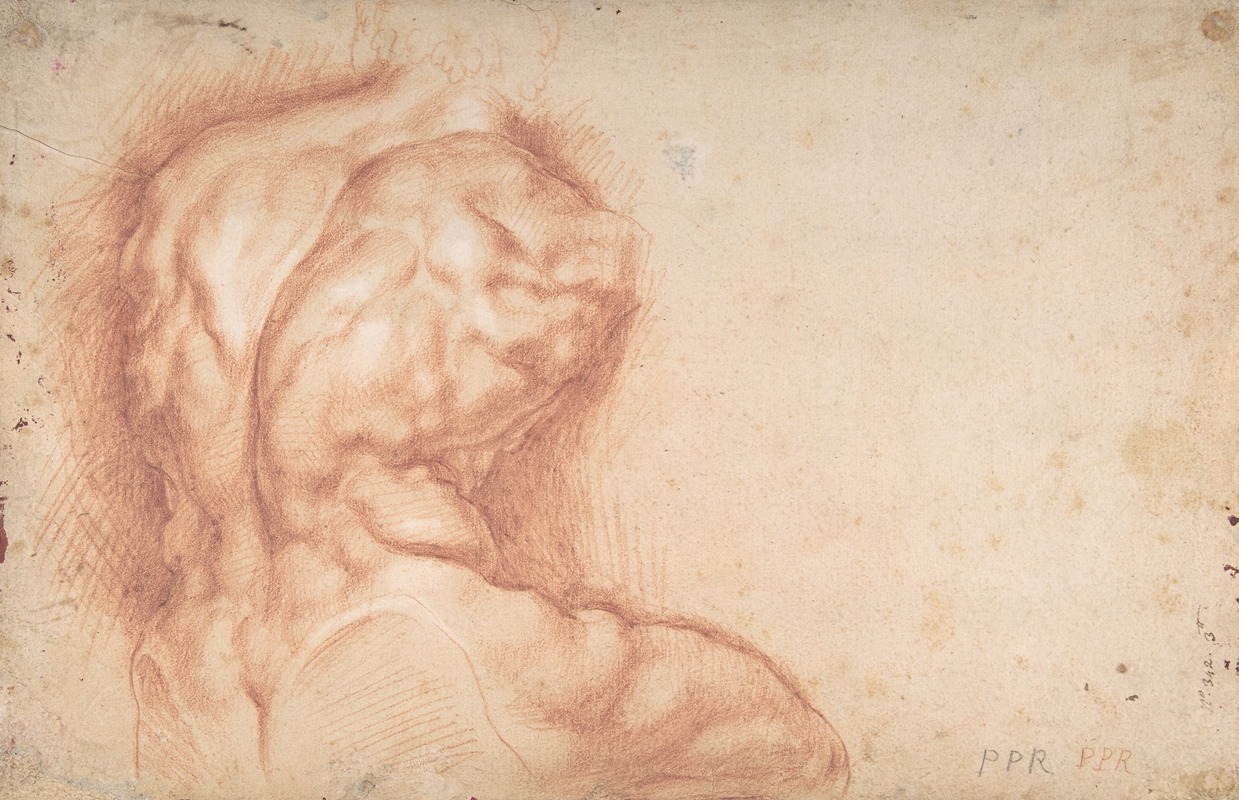 Peter Paul Rubens - Study of the Torso Belvedere
