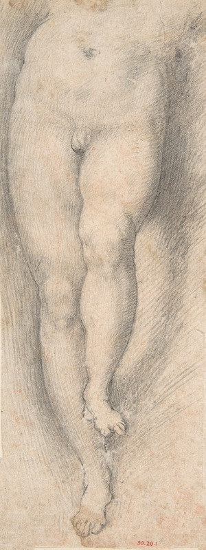 Cristoforo Roncalli - Study for Lower Part of Torso and Legs of a Young Boy