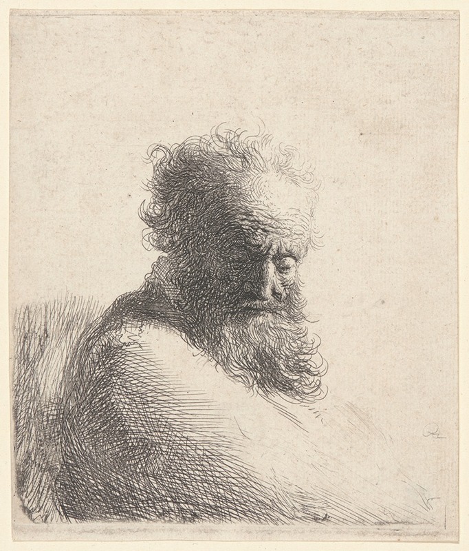 Rembrandt van Rijn - Bust of an Old Bearded Man, Looking Down