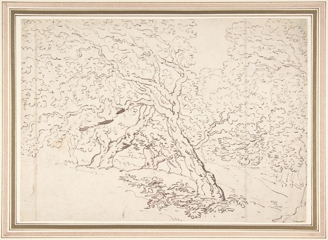 Thomas Rowlandson - Study of trees
