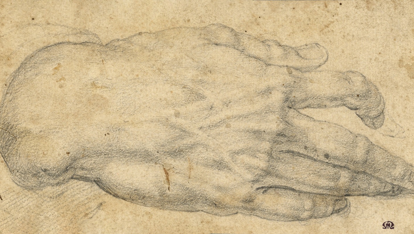 Agnolo Bronzino - Study of a man’s right hand