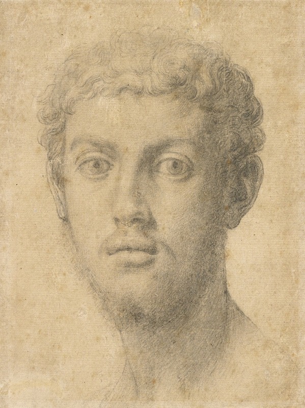 Agnolo Bronzino - Head of a Man