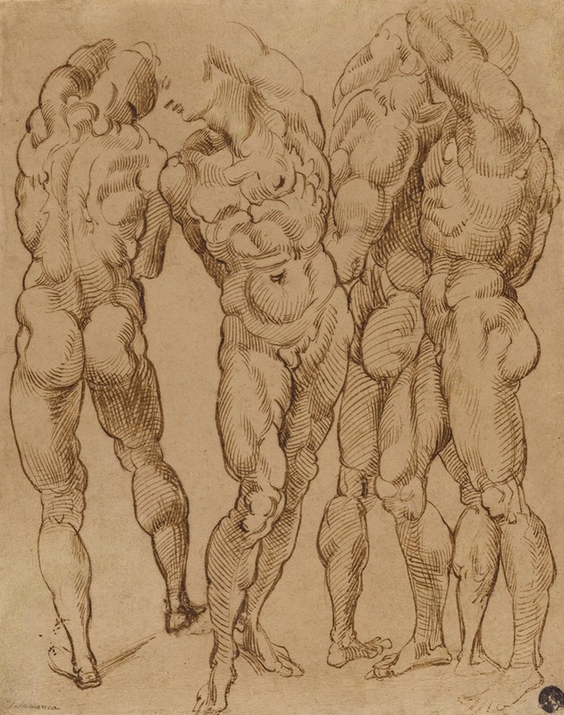 Bartolomeo Passarotti - Nude Studies