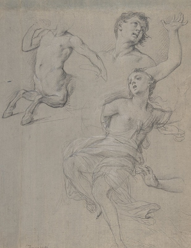 Francesco Trevisani - Studies for the Figure of a Centaur and a Nymph