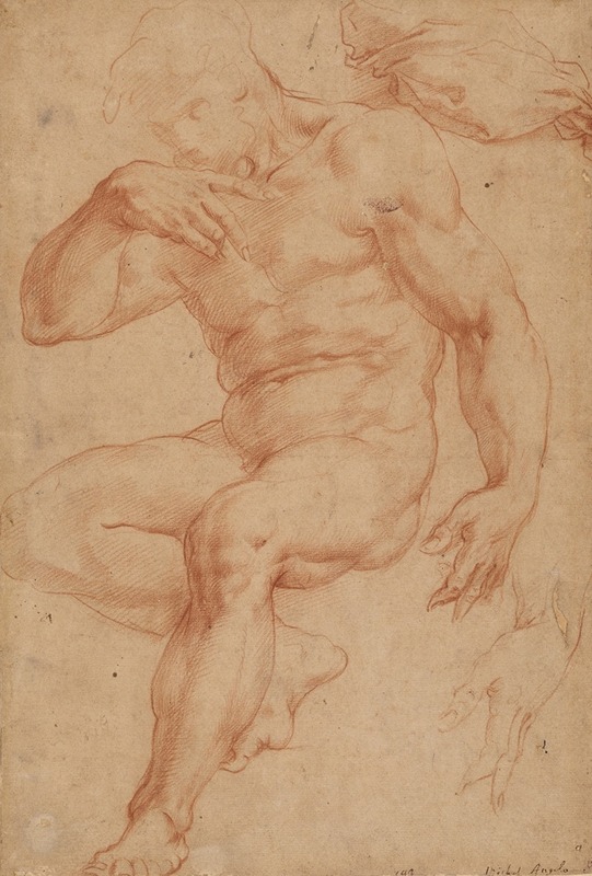 Giorgio Vasari - Studies of a Male Nude, a Drapery, and a Hand