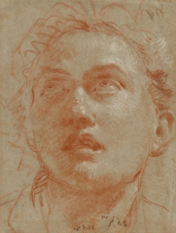 Giovanni Battista Tiepolo - Head of a Man Looking Up