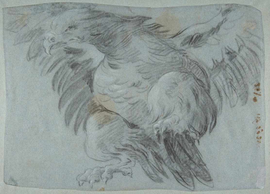Giovanni Battista Tiepolo - An Eagle with Wings Spread