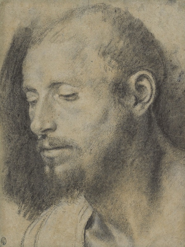 Giovanni Girolamo Savoldo - Study of the Head of a Bearded Man