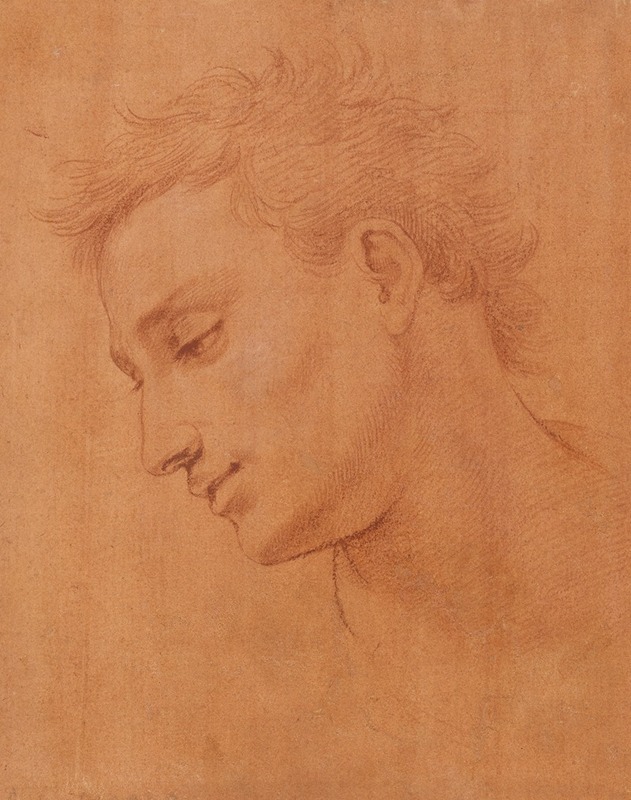 Girolamo Macchietti - Head of Man in Profile to the Left