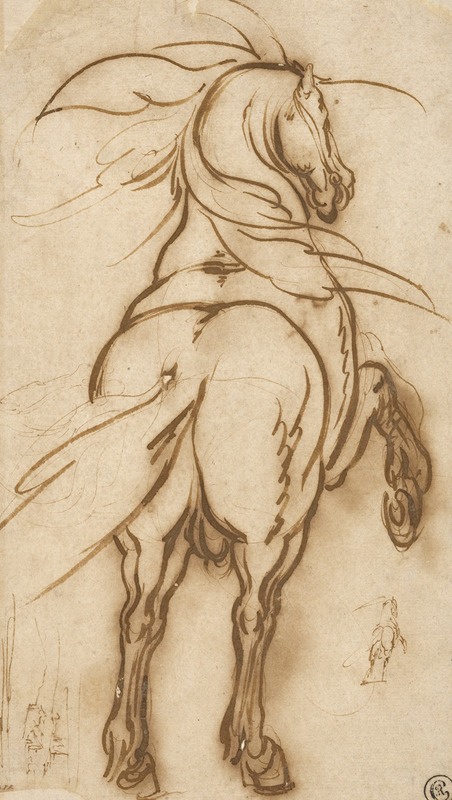 Jacques Callot - Study of a Rearing Horse