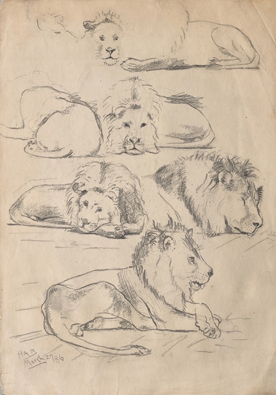 John Haberle - Studies of Lions