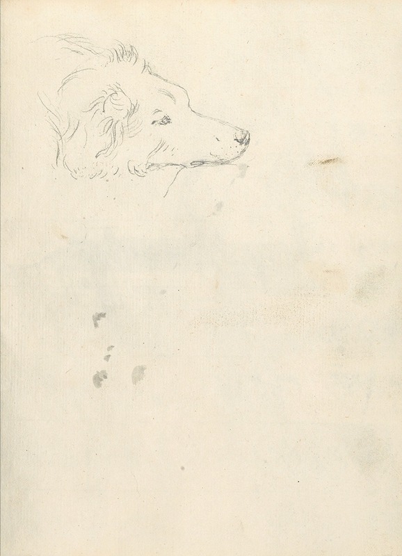 Joseph Wright of Derby - Head of a Dog