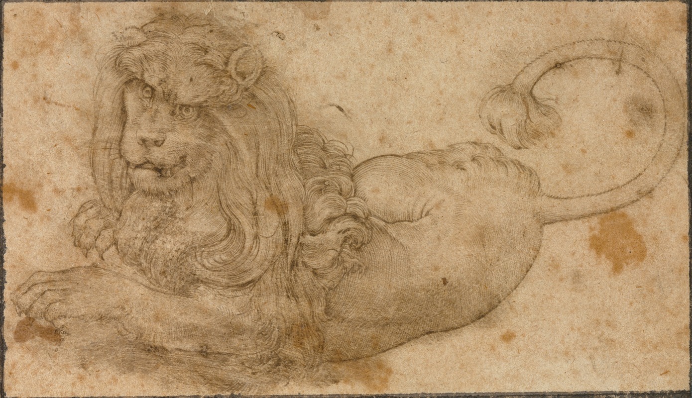 Lucas Cranach the Elder - Study of a Lion