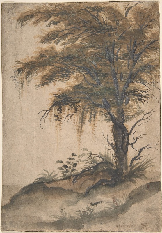 Marten Van Valckenborch - Study of a Tree