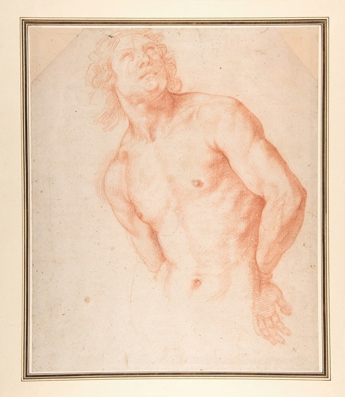 Ottavio Vannini - Half-Figure of a Male Nude with Arms behind Back