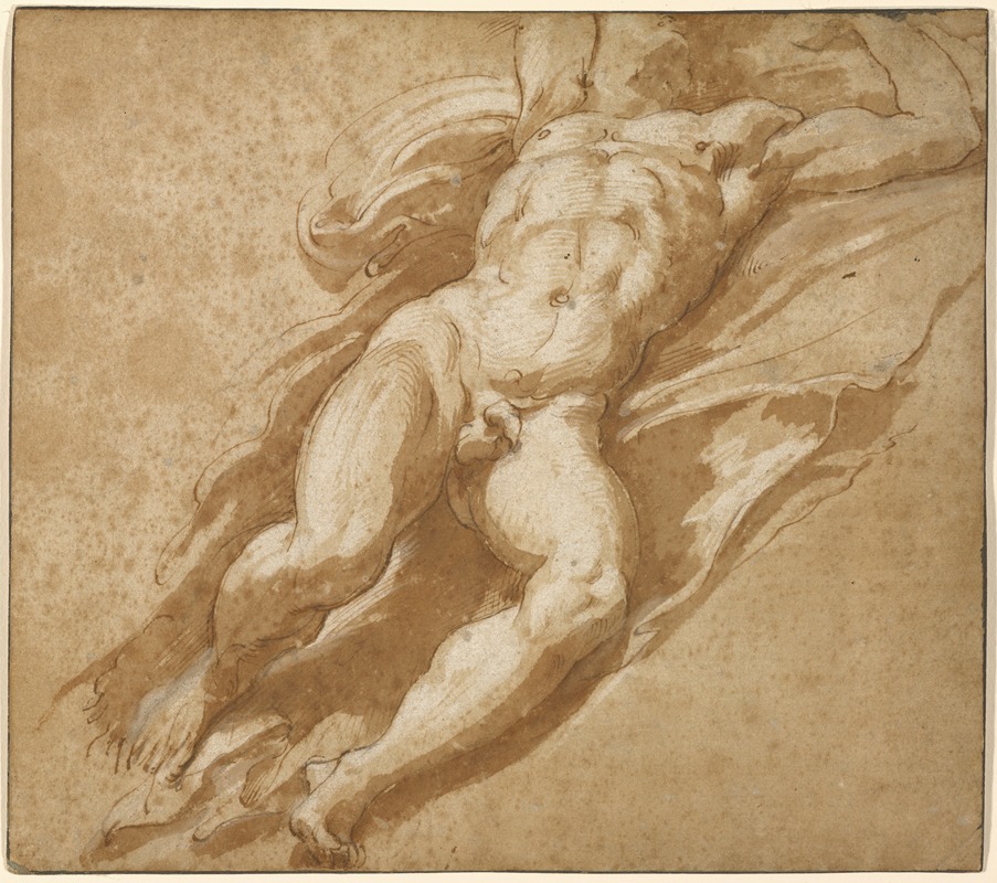 Parmigianino - Figure Study