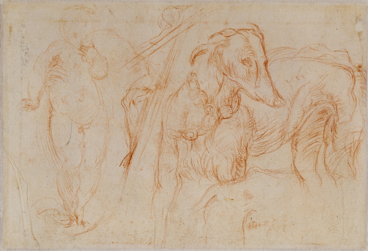 Parmigianino - Studies of the Christ Child, a Crucifix, and a Dog