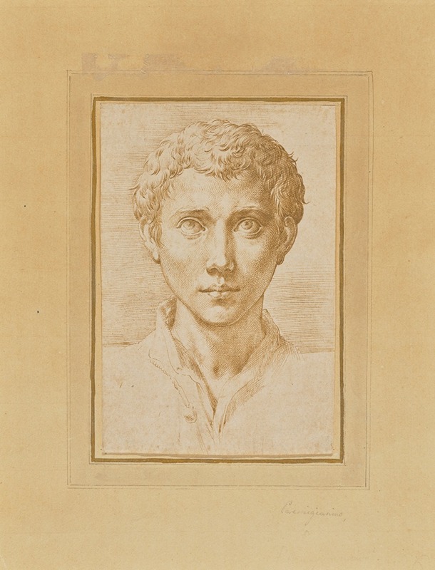 Parmigianino - The Head of a Young Man