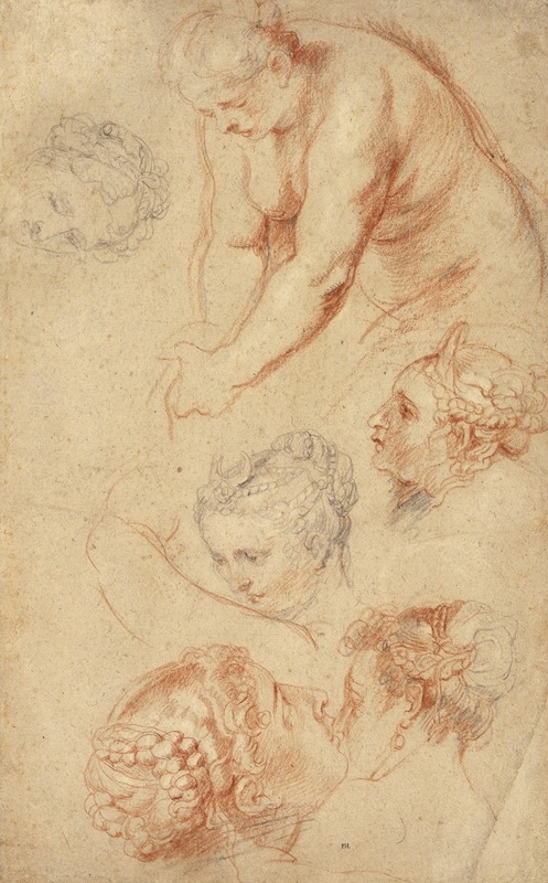 Peter Paul Rubens - Studies of Women