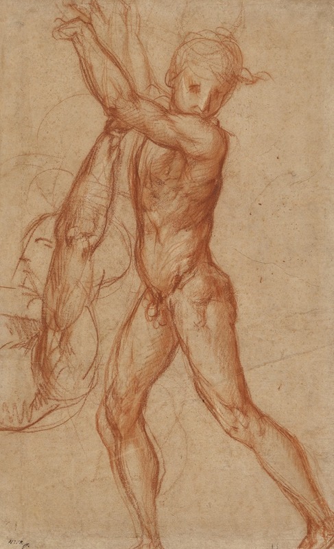Pontormo (Jacopo Carucci) - Study of a Nude Boy, Partial Figure Study