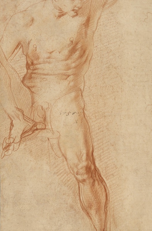 Pontormo (Jacopo Carucci) - Seated Figure