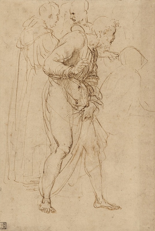 Raphael - Studies for the Disputa