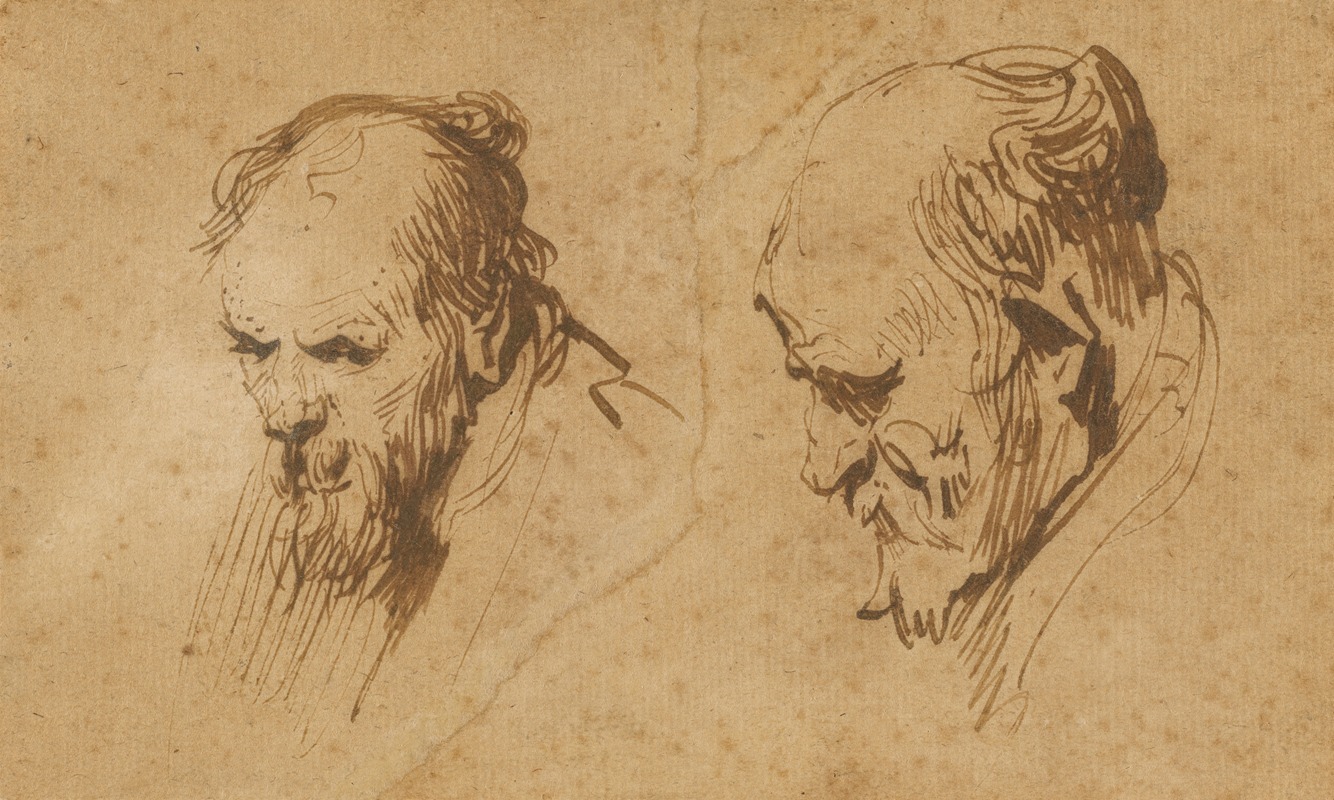 Rembrandt van Rijn - Two Studies of the Head of an Old Man