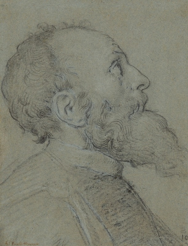 School of Paolo Veronese - Head of a Bearded Man
