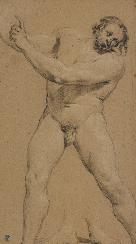 Simon Vouet - Study of a Male Nude