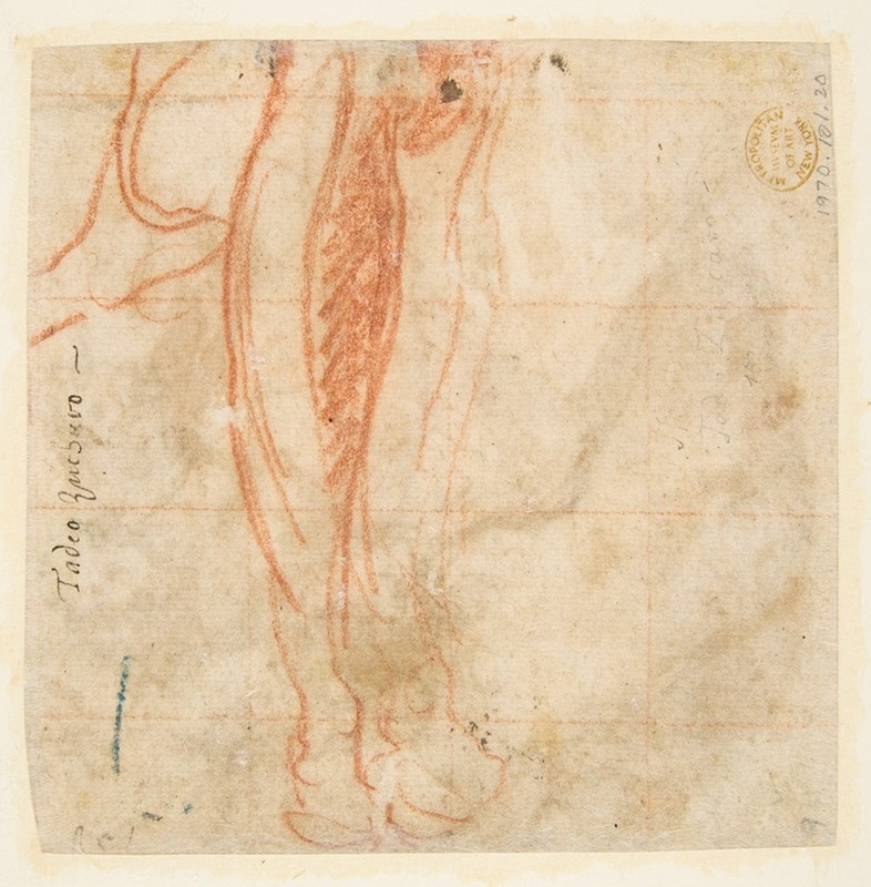 Taddeo Zuccaro - Sketch of a Leg