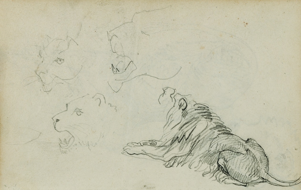Théodore Géricault - Four lion studies