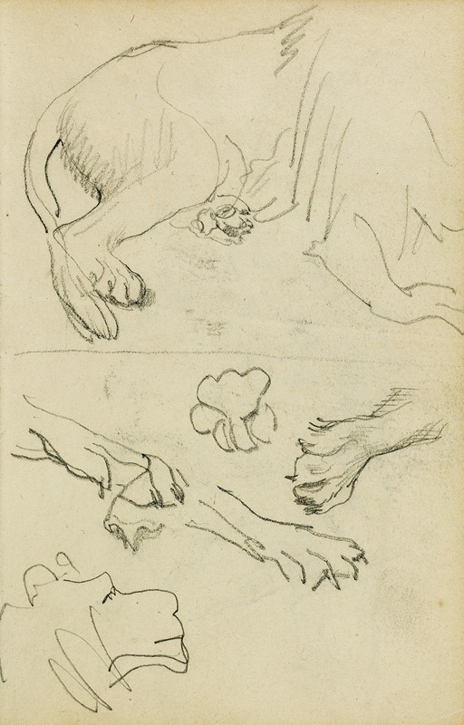 Théodore Géricault - Various studies of lion leg, paws and head