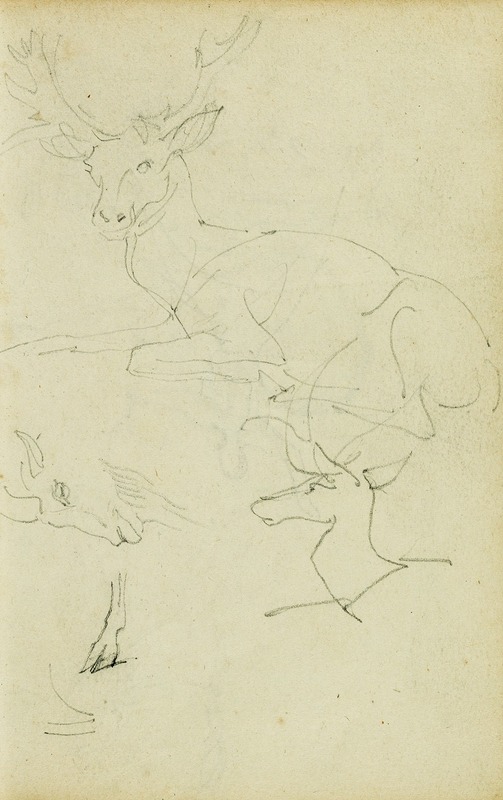 Théodore Géricault - Studies of a seated stag, a fawn, a goat head