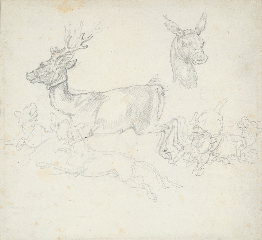 Théodore Géricault - Study of Deer Chased by Dogs, Doe’s Head