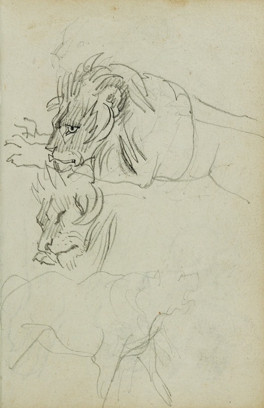 Théodore Géricault - Three lion studies