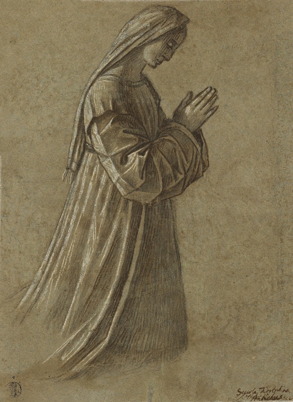 Vittore Carpaccio - Study of the Virgin