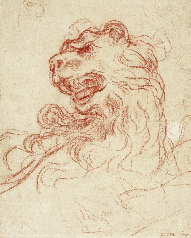 Baldassarre Franceschini - Study of the Head of a Lion