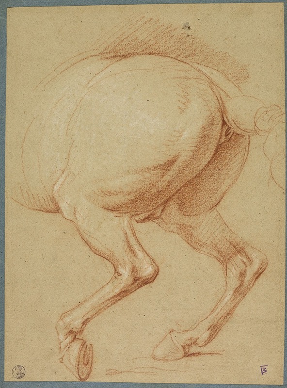Charles Le Brun - The Hind Legs of a Horse