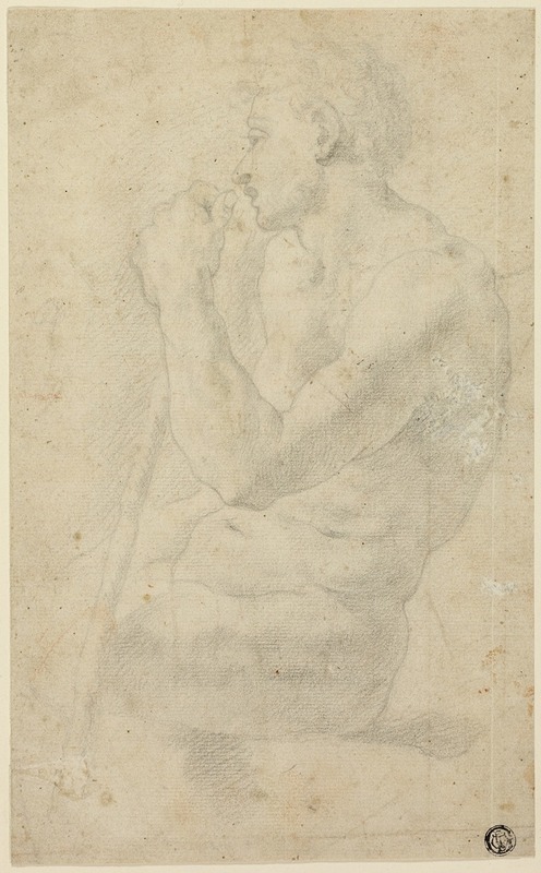 Circle of Agnolo Bronzino - Academic Male Nude