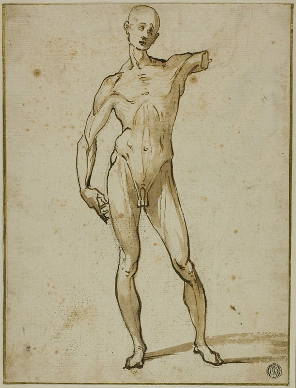 Circle of Ludovico Cardi - Flayed Man