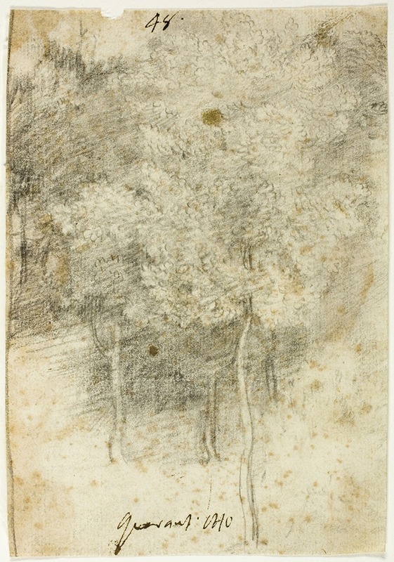 Federico Barocci - Grove of Trees