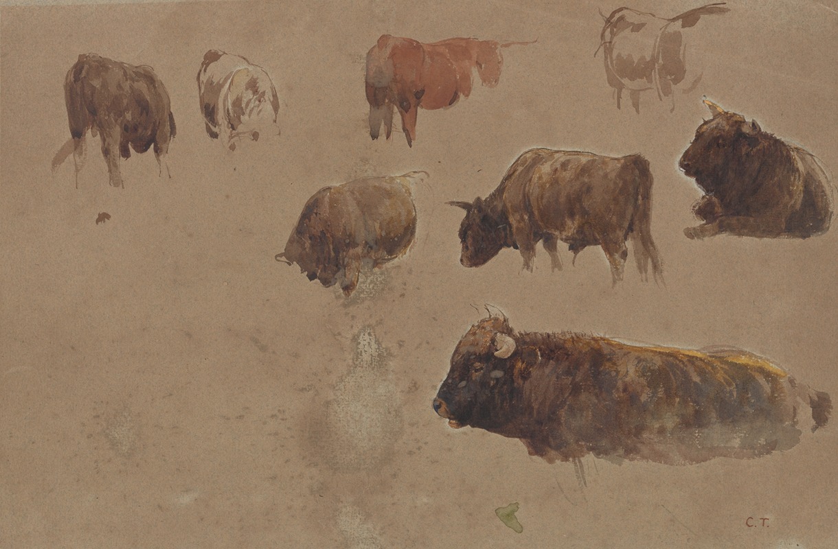 Constant Troyon - Studies of Cattle