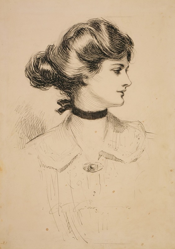 Charles Dana Gibson - A daughter of the south